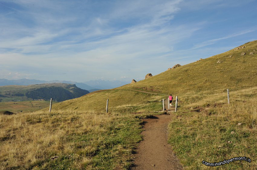 161 Alpe di Siusi.JPG